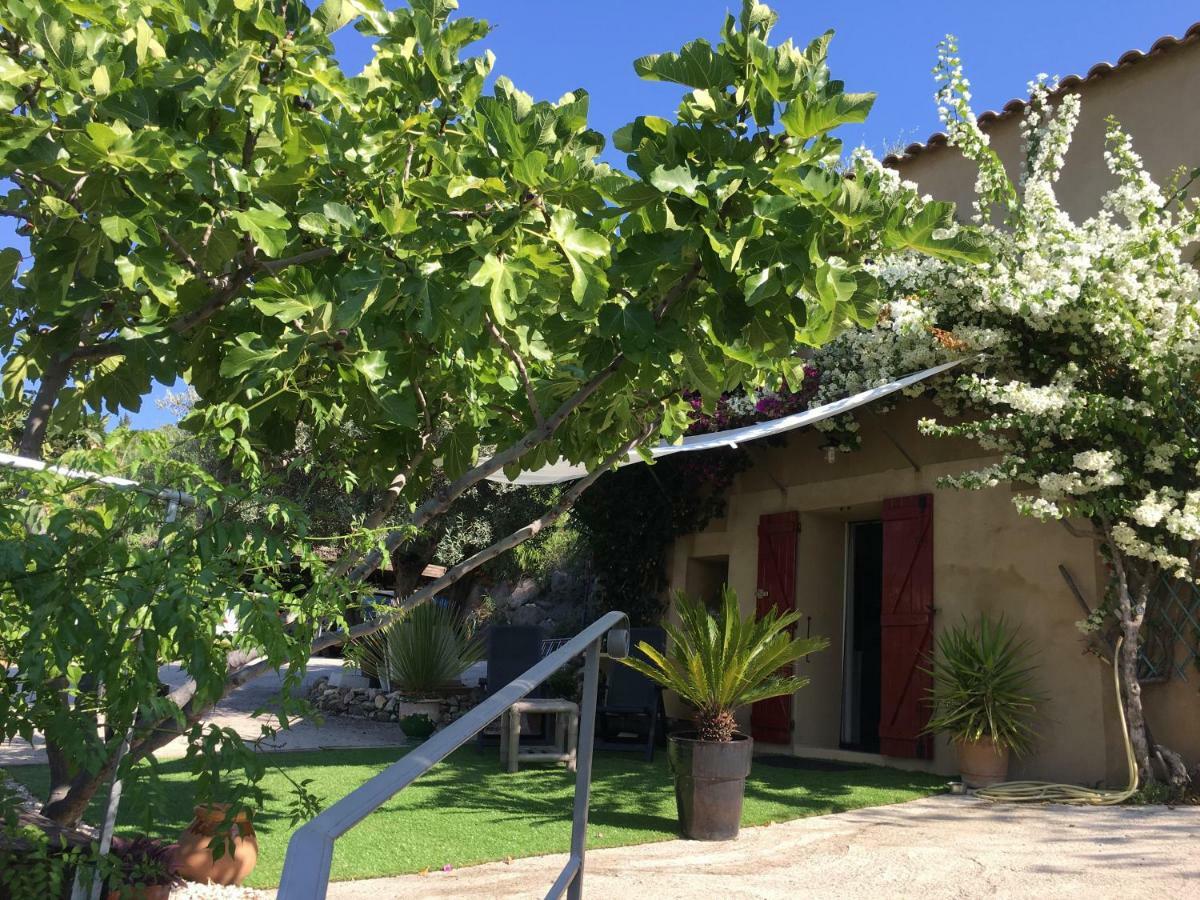 Les Terrasses Sur Mer Ollioules Exterior foto
